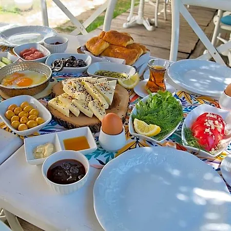 Ionic Çeşme